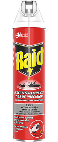 RAID : Aérosol anti-fourmis, araignées et cafards - chronodrive